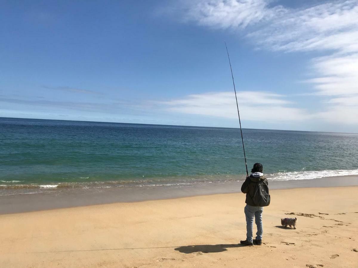 Depa Torre Juan Fernandez Appartamento Vina del Mar Esterno foto